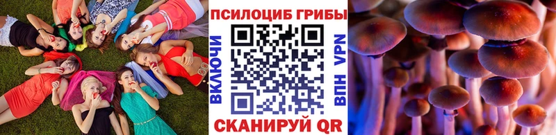 Галлюциногенные грибы мицелий  Купить  Черемхово 